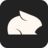 Pika Labs AI logo